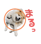 もふもふモフモフ（個別スタンプ：4）