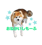 もふもふモフモフ（個別スタンプ：7）