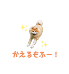 もふもふモフモフ（個別スタンプ：9）
