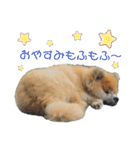 もふもふモフモフ（個別スタンプ：14）
