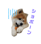 もふもふモフモフ（個別スタンプ：18）
