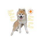 もふもふモフモフ（個別スタンプ：21）