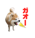 もふもふモフモフ（個別スタンプ：24）