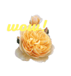 バラの花とあいさつ（個別スタンプ：3）