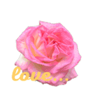 バラの花とあいさつ（個別スタンプ：4）