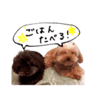 プードルももななここ（個別スタンプ：5）