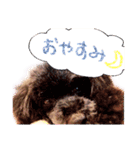 プードルももななここ（個別スタンプ：14）