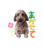 なっつちゃん（個別スタンプ：4）