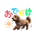 なっつちゃん（個別スタンプ：8）