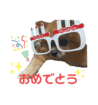 メロとハルのスタンプ1（個別スタンプ：14）