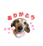 リクのスタンプ！（個別スタンプ：2）
