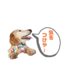 リクのスタンプ！（個別スタンプ：7）