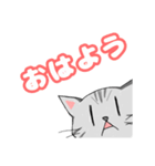 ゆきちスタンプ その3（個別スタンプ：1）