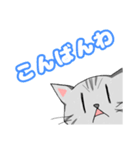 ゆきちスタンプ その3（個別スタンプ：3）