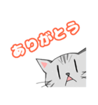ゆきちスタンプ その3（個別スタンプ：4）