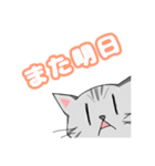 ゆきちスタンプ その3（個別スタンプ：9）