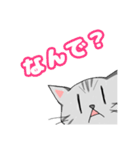 ゆきちスタンプ その3（個別スタンプ：15）