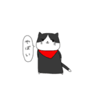 ねこ集めてみました（個別スタンプ：17）