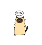 ねこ集めてみました（個別スタンプ：30）