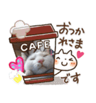 三毛猫モアナ4（個別スタンプ：8）