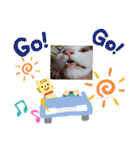 三毛猫モアナ4（個別スタンプ：31）