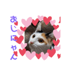 三毛猫モアナ4（個別スタンプ：40）