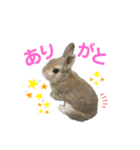 僕はミミちゃん（個別スタンプ：2）