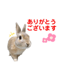 僕はミミちゃん（個別スタンプ：3）