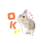 僕はミミちゃん（個別スタンプ：4）