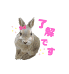僕はミミちゃん（個別スタンプ：5）