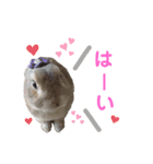 僕はミミちゃん（個別スタンプ：6）