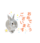僕はミミちゃん（個別スタンプ：7）