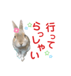 僕はミミちゃん（個別スタンプ：14）
