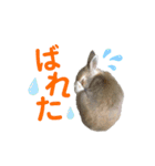 僕はミミちゃん（個別スタンプ：20）