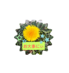 タンポポ〜んっ（個別スタンプ：14）
