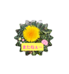 タンポポ〜んっ（個別スタンプ：15）