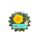 タンポポ〜んっ（個別スタンプ：28）