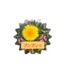 タンポポ〜んっ（個別スタンプ：31）