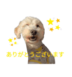 色んなぷーすけ（個別スタンプ：7）