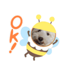色んなぷーすけ（個別スタンプ：16）