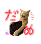 茶トラのチャーちゃん(猫)（個別スタンプ：4）
