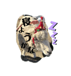 動物かわいいねスタンプ（個別スタンプ：3）