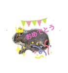 動物かわいいねスタンプ（個別スタンプ：8）