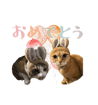 茶とらのみるくと三毛のすず（個別スタンプ：28）
