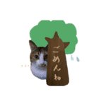 茶とらのみるくと三毛のすず（個別スタンプ：30）