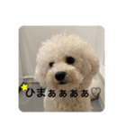 モジャ丸スタンプ❤️（個別スタンプ：7）