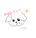 らうでしゅ（個別スタンプ：12）