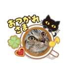 ちんちらーず vs のらーず mix（個別スタンプ：2）