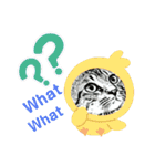 ちんちらーず vs のらーず mix（個別スタンプ：10）
