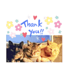 ちんちらーず vs のらーず mix（個別スタンプ：26）